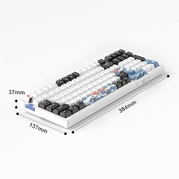 QYマステ　sky1204 Amazon.com: MageGee SKY98 Wireless Gasket Mechanical Gaming